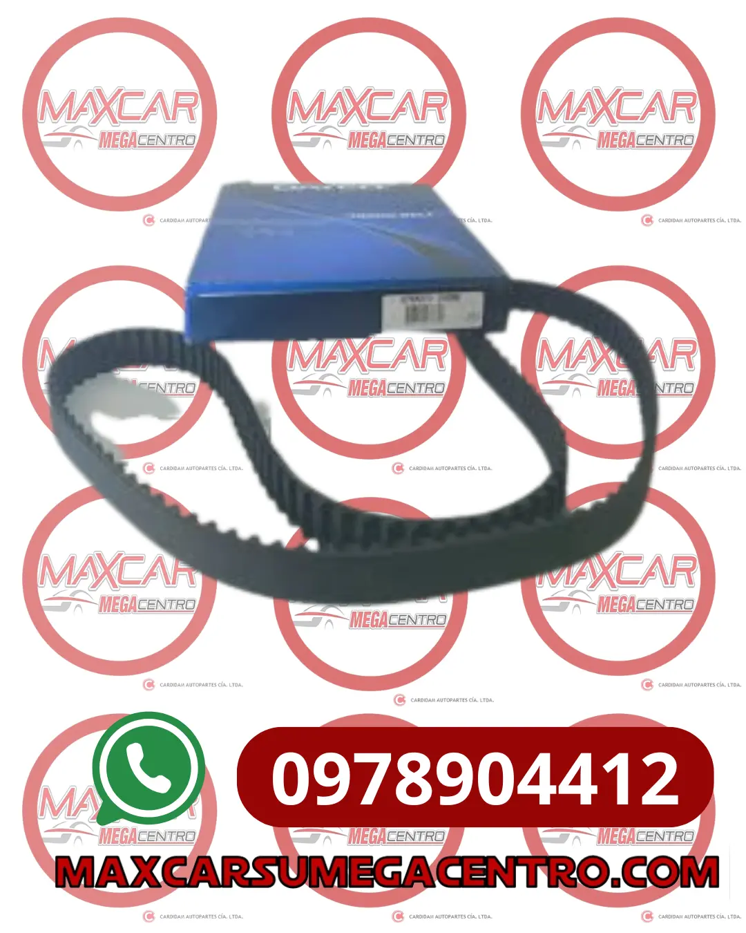 Banda Dist Dayco 94785 96D Logan Clio Megane -B94785 1