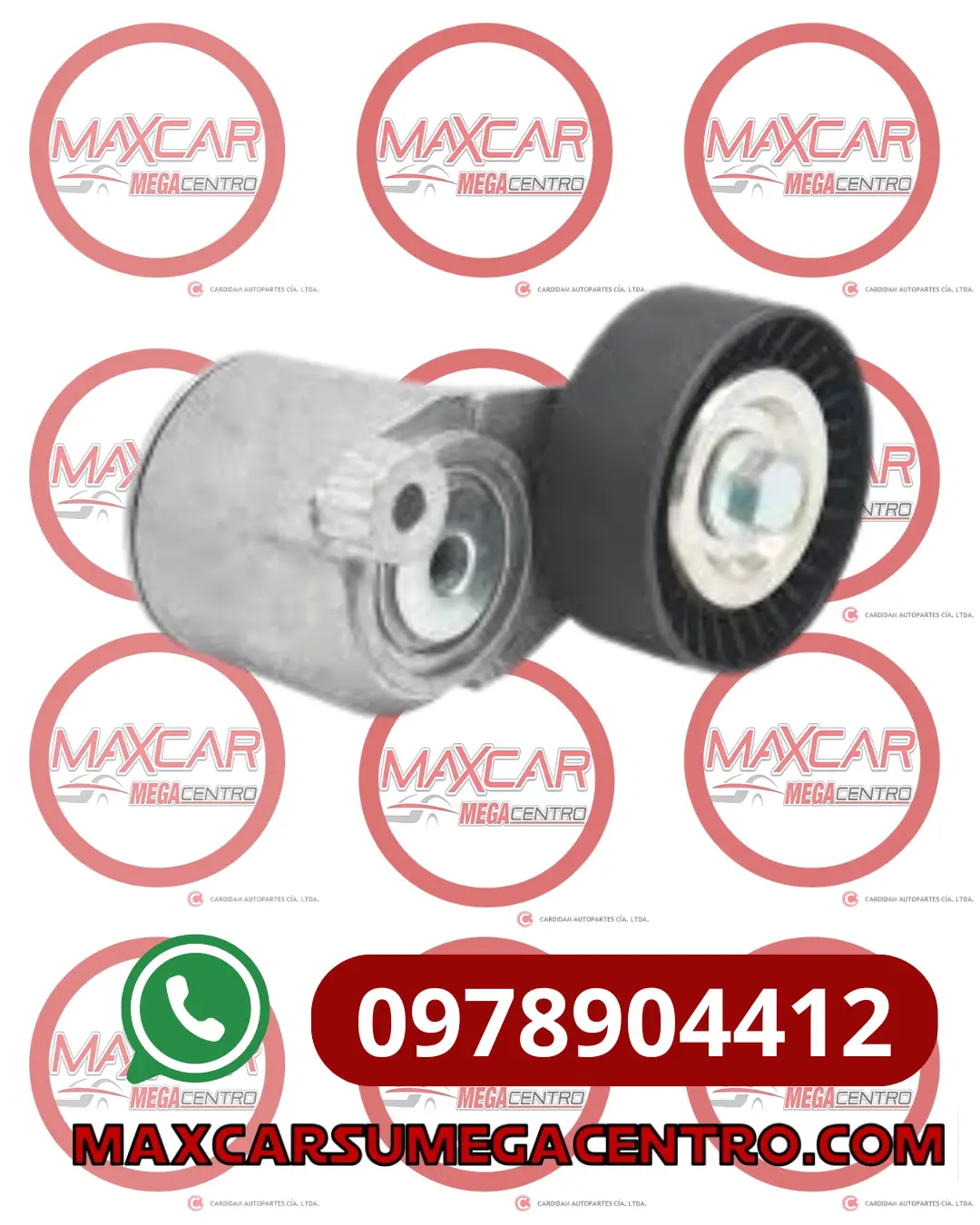 R.24105942 Templador Banda Accesorios Dery Sail 1.5 17/- (Completo) 1