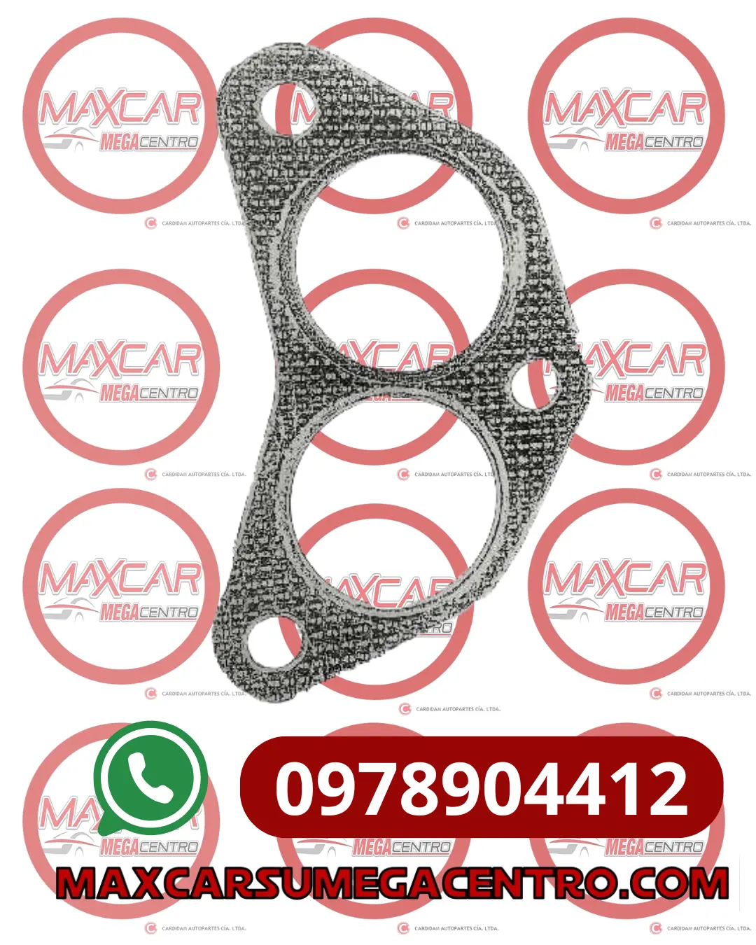 Empaque Gafas Excel Ee40-Ee40 1