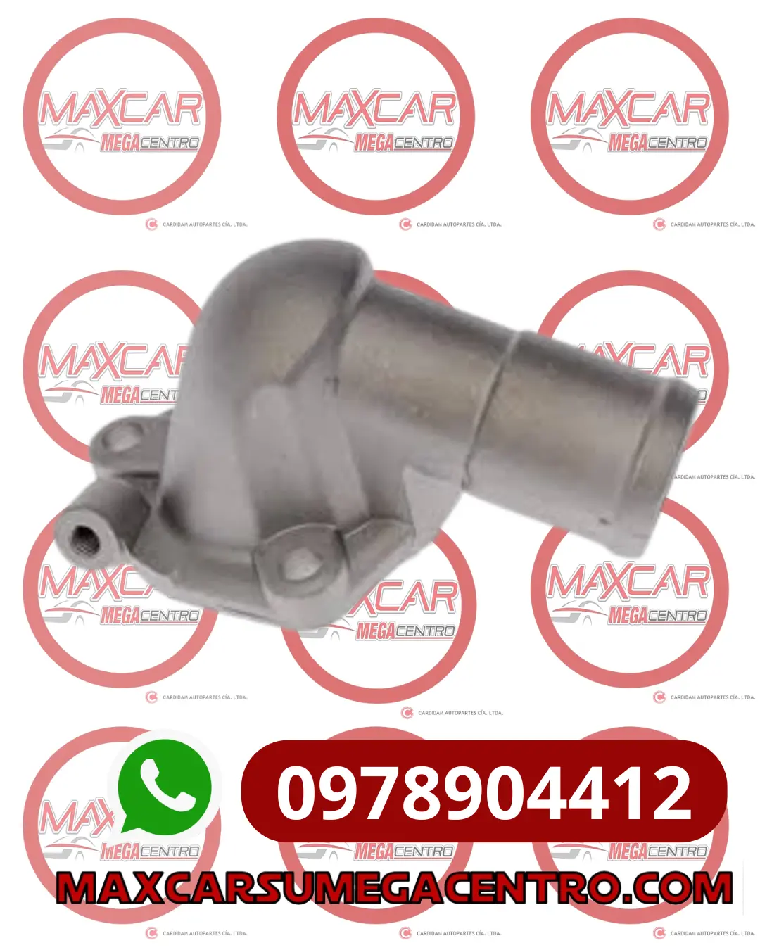 Ter.13049-F4300 Toma Agua Orig Sentra 1