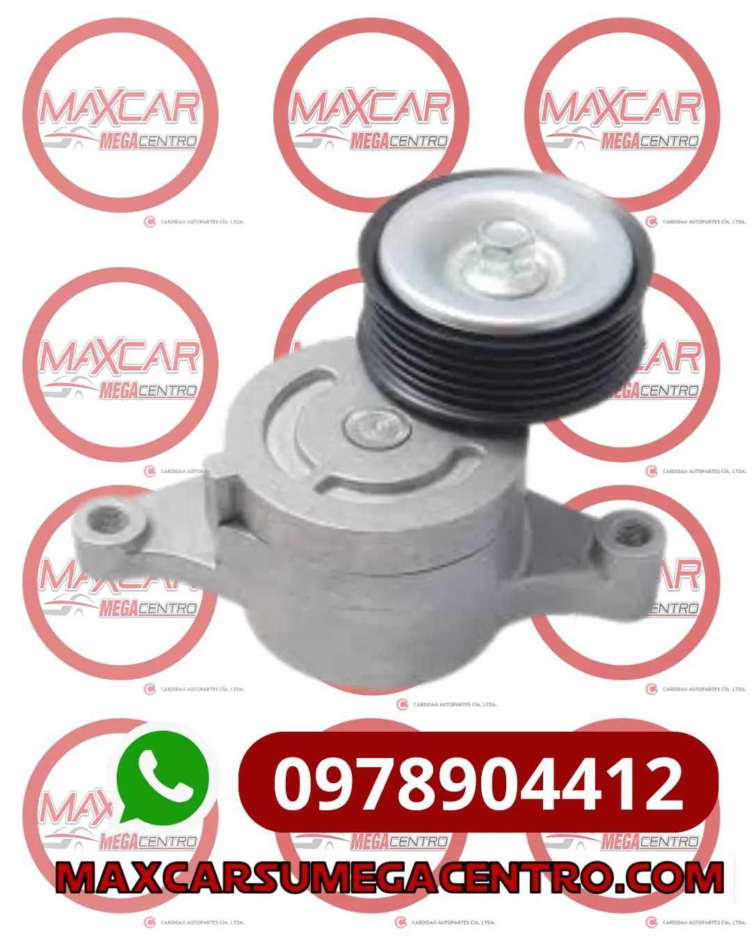 R.Zj3815980c Templador Banda Acc Exactcats Mz 2 11-13 (Polea Acanalada) 1