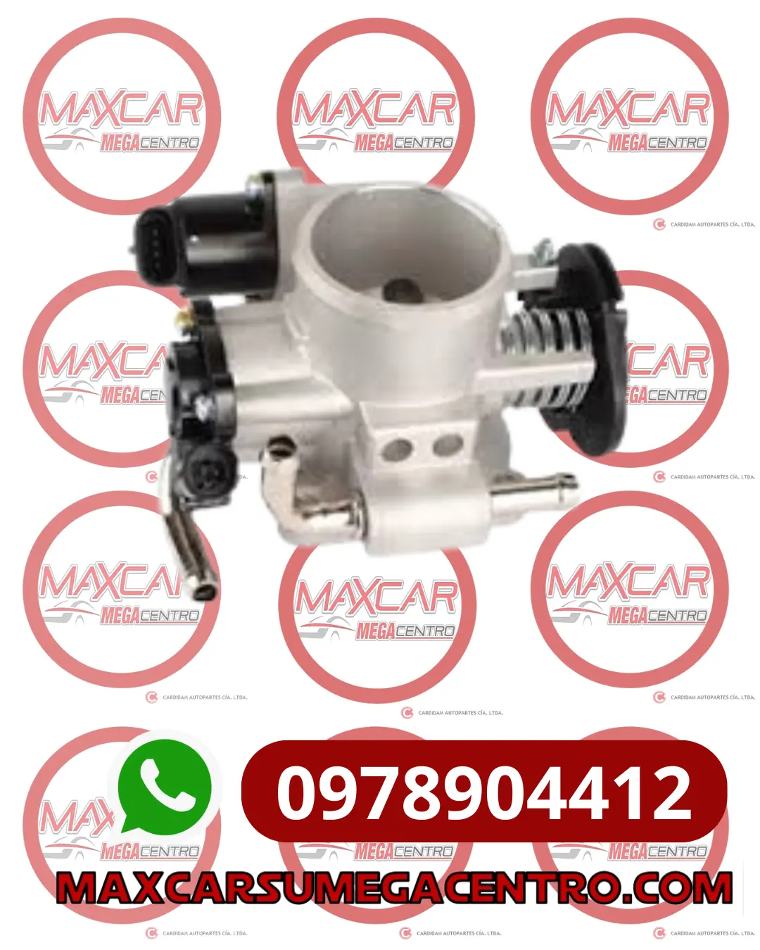 Cac.25183955 Cuerpo Aceleracion Natsuki Aveo 1.4/1.6 1
