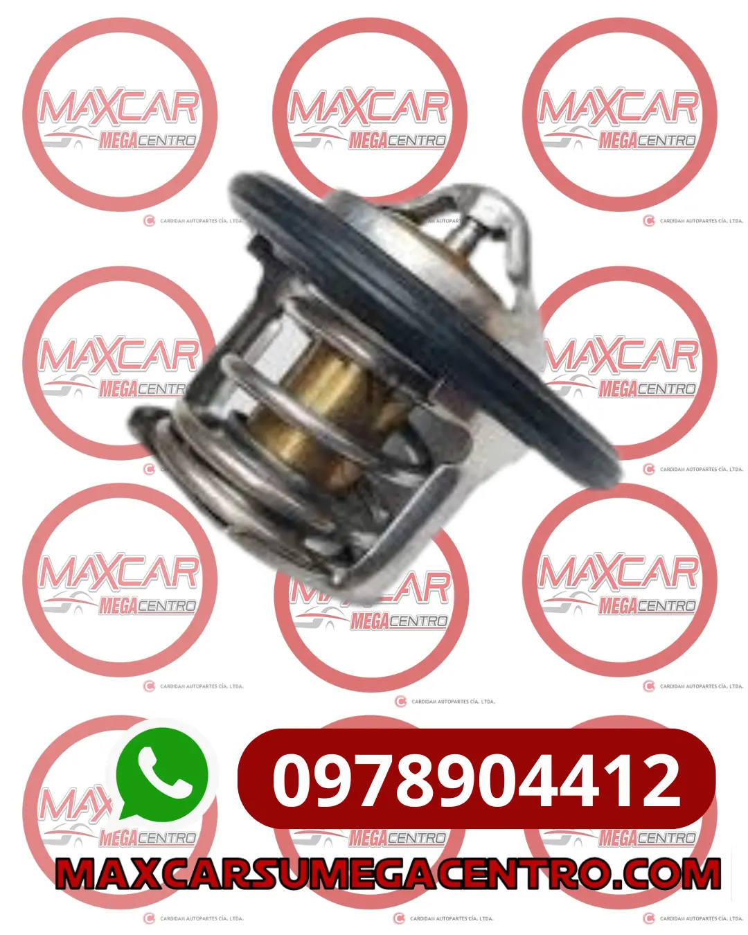 Ter.1041200Gg010 Termostato Lietuvo Jac S3 17- 1