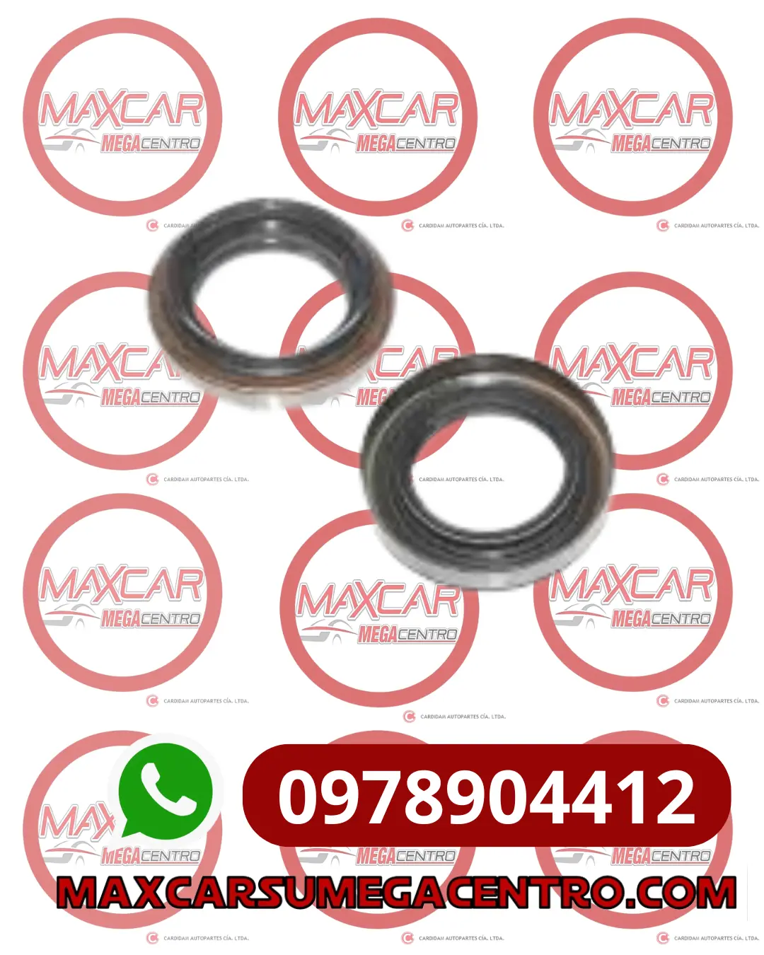 R.45721219.5 Retenedor Tco 45X72x12x19.5 1