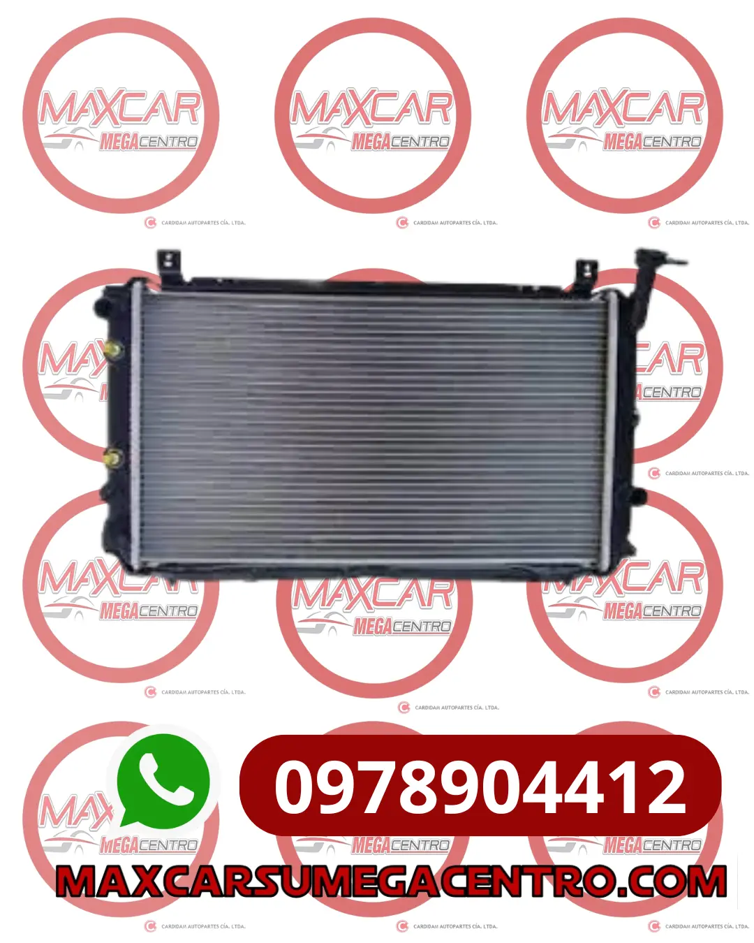 Rad.21024 Radiador Polar Atos Prime 06-08 G4hg 1