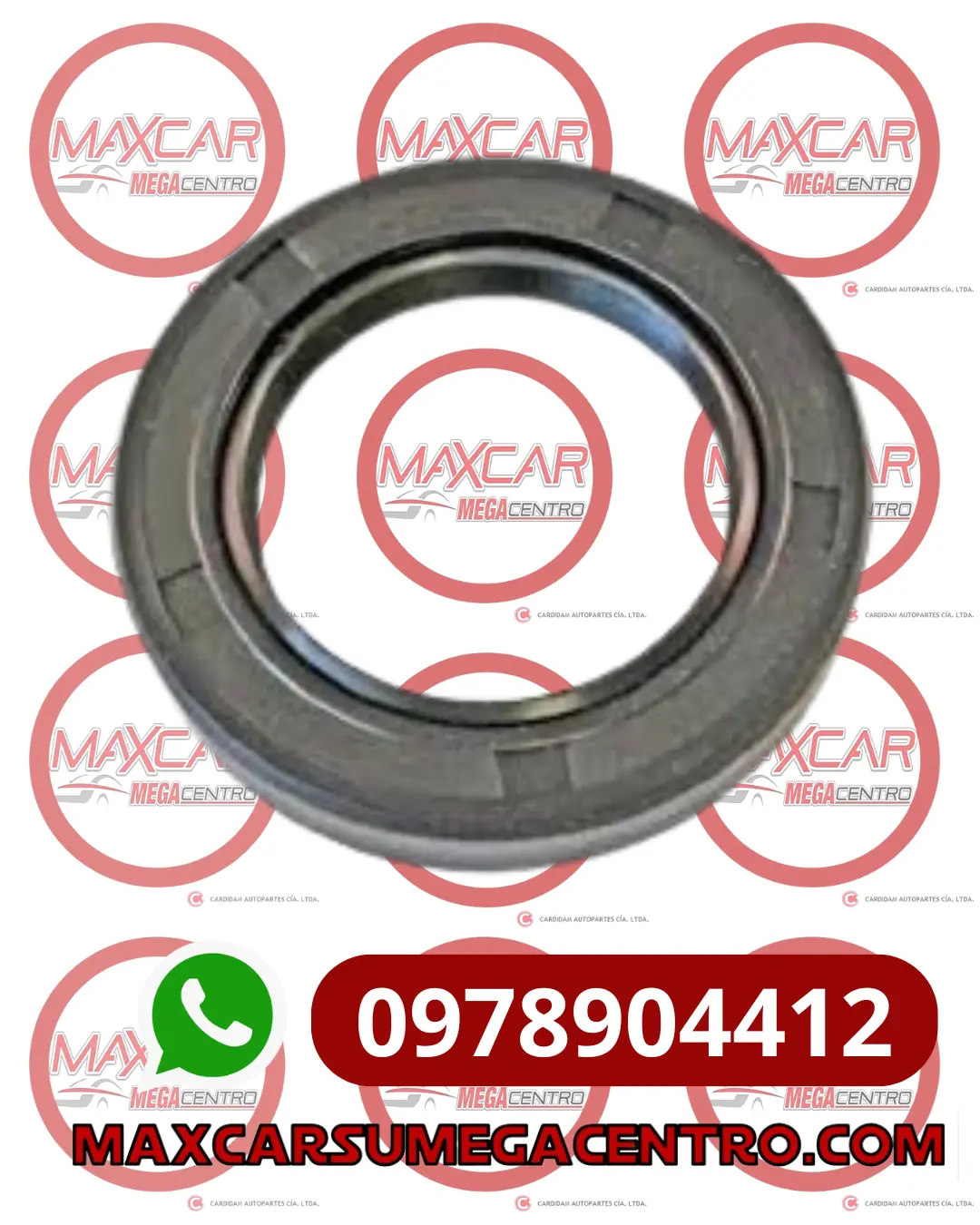 R456010 Retenedor Vdc 65031 45X60x10 1