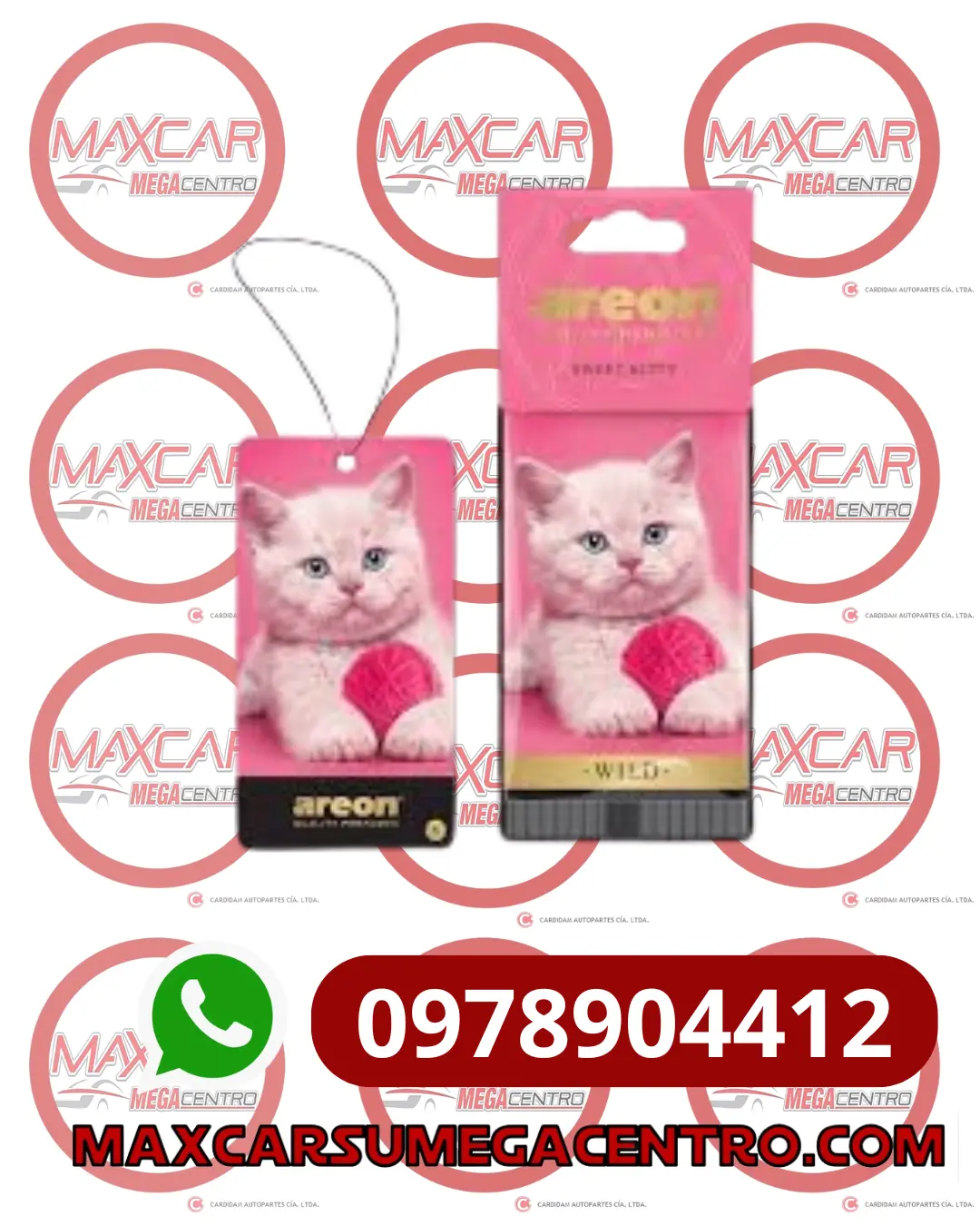 Amb.Aw06 Areon Wild Sweet Kitty (Gatita Rosada ) 1