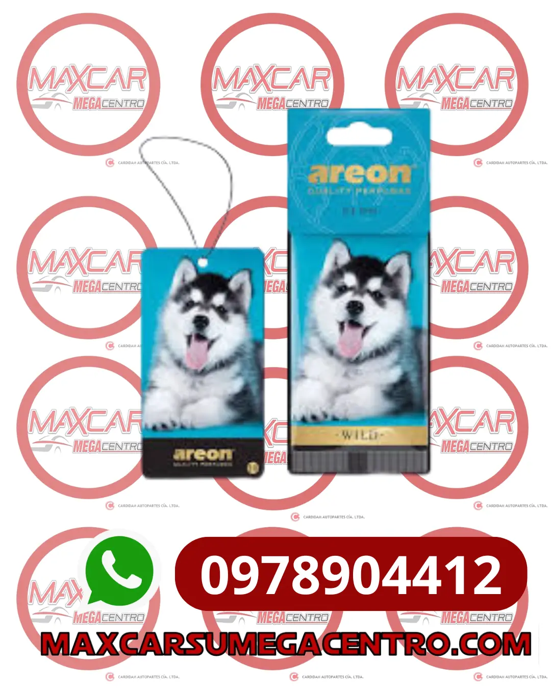 Amb.Aw10 Areon Wild Ice Dog ( Perro Husky ) 1