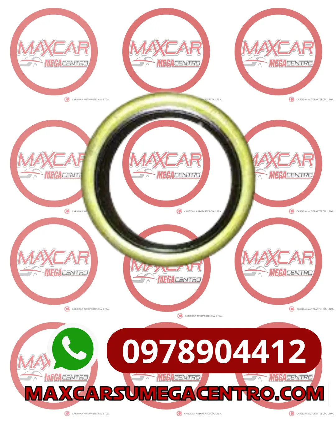 R.46627 Retenedor Rda Del Lyo 96316762 46X62x7 (Metalico) Ext Matiz/Spark 1