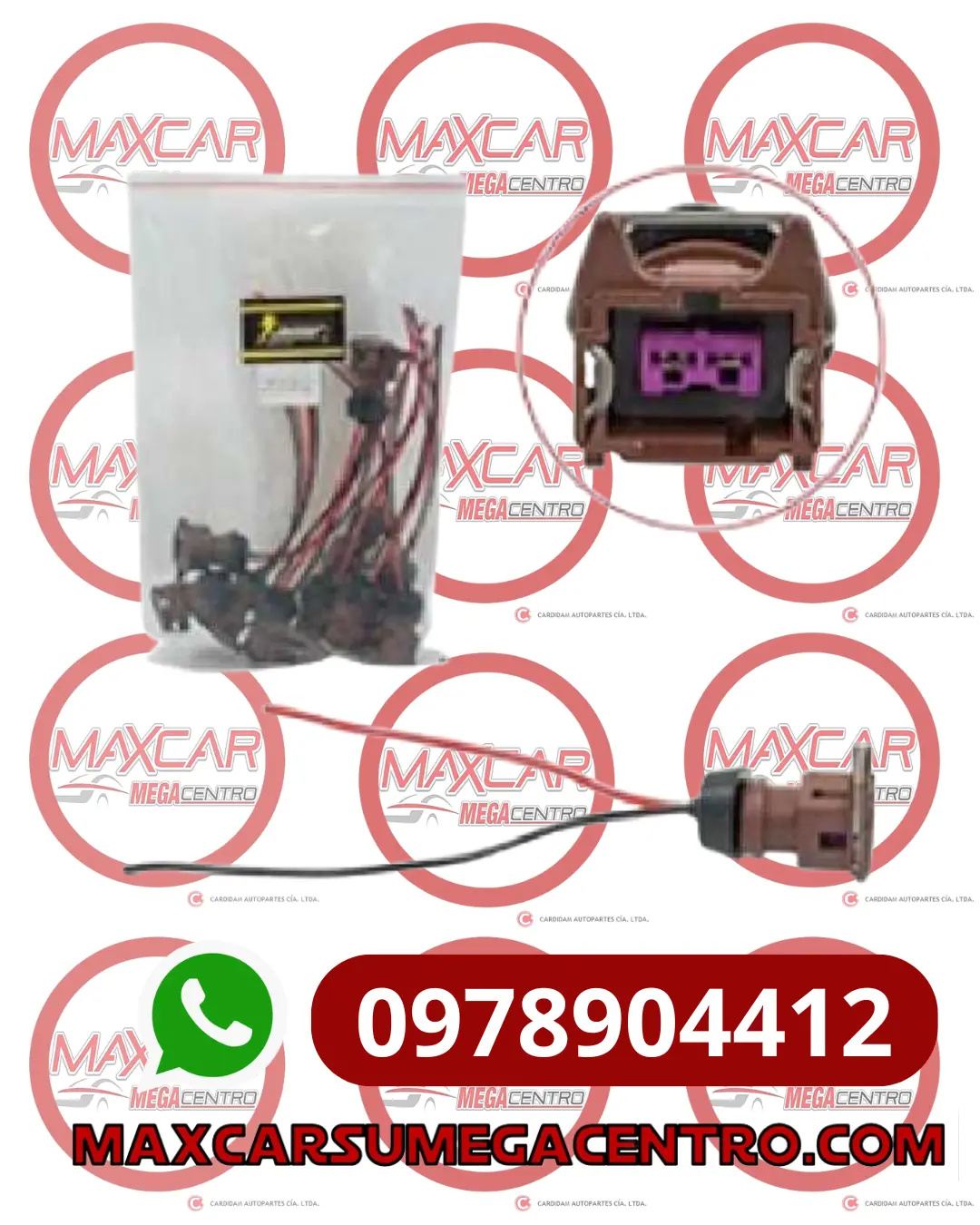 Soc.Iny Socket Tw 623.79 Inyector 2P Corsa Bobina Distribuidor Varios #18Awg Gen-2 Wira Housing 1