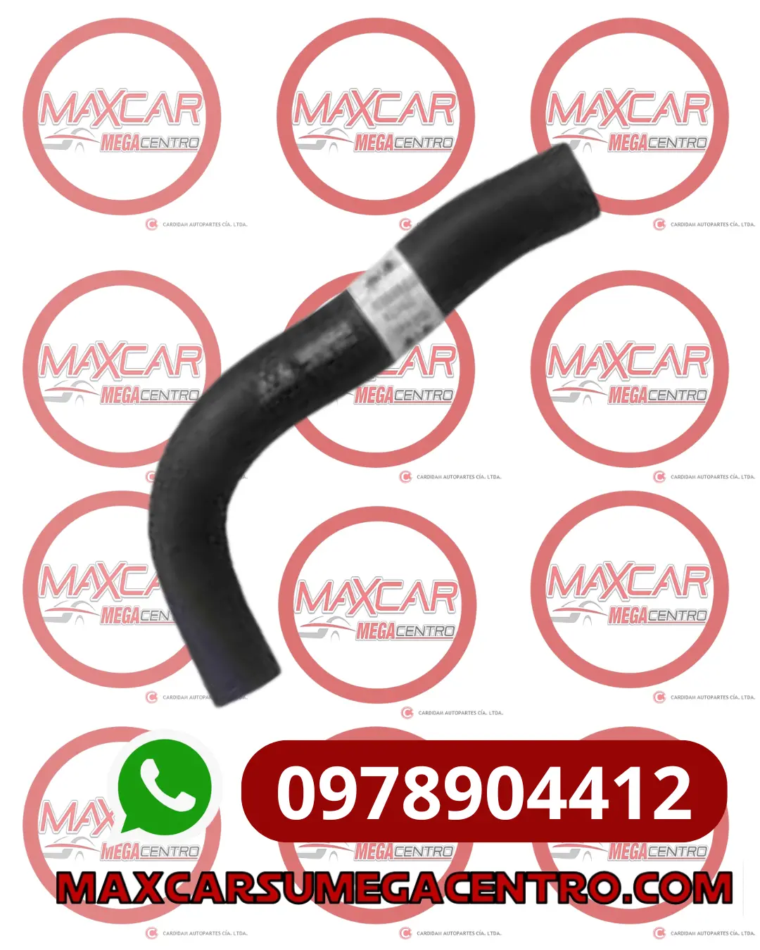 Man.25411-F9000 Manguera Radiador Sup A&G Am4550 Rio Mexico 1