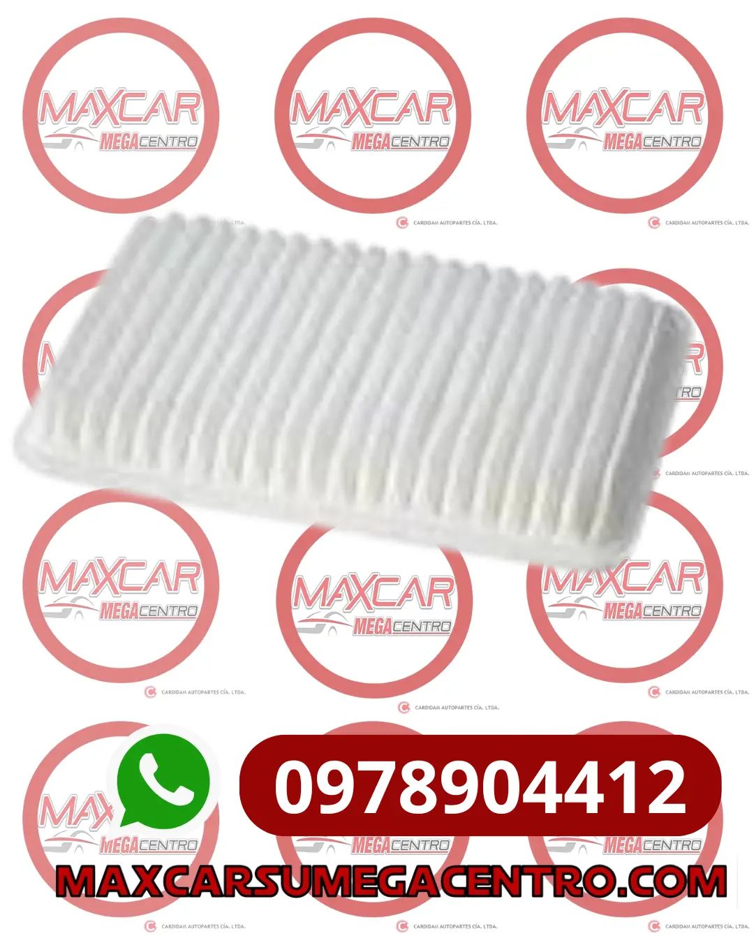 F.Aa8710 Filtro Aire Advance Jac S2 S4 1