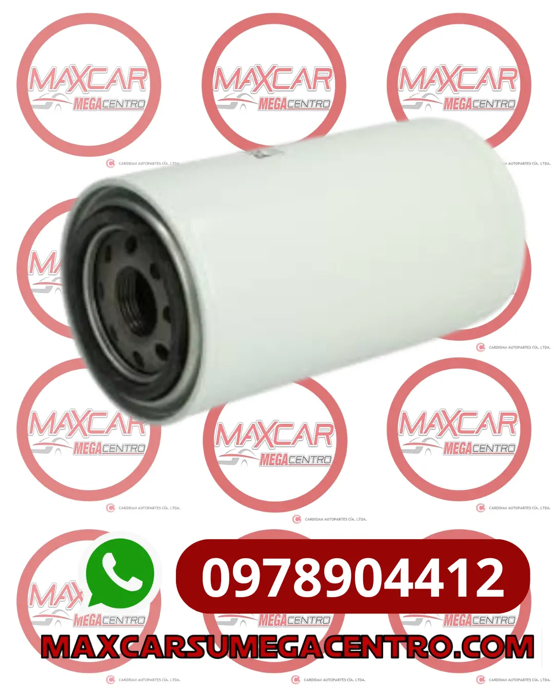 F.Ao9617 Filtro Aceite Advance Dongfeng Df 140 Dfm 210 Ford Cargo 815E 3.9L Golden Dragon (C5713)(Lf16015) M27 1