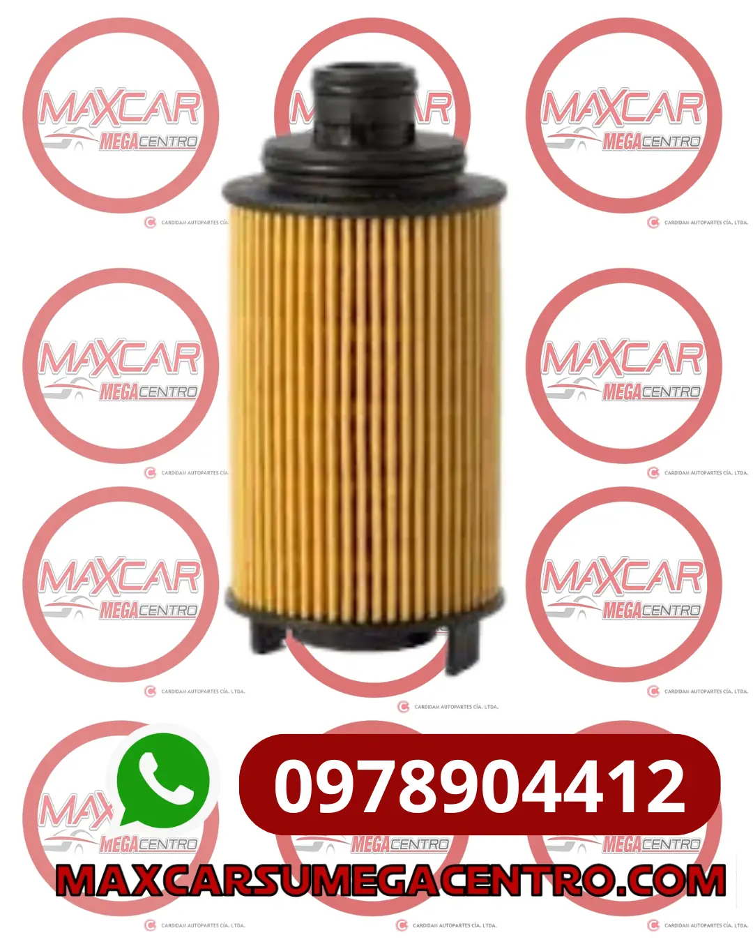 F.Aoe2040 Filtro Aceite Advance Chery Tiggo 1.6 2014 (Elemento) 1
