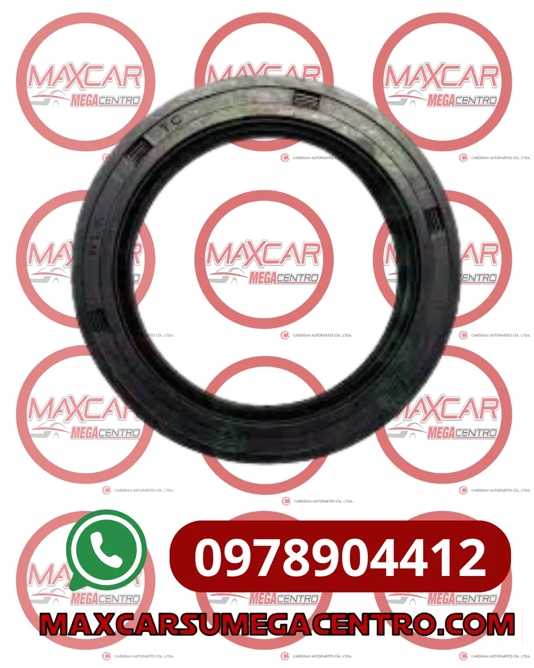 R.52727 Retenedor Lyo 52X72x7.5 Tbx3 1
