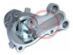 Bomba Agua Npw Fv61 Sail 1.4 16V - Banfv61 1