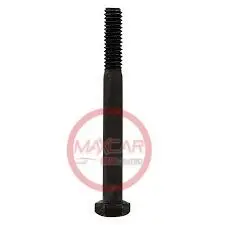Perno G5 5/16X3  - P5/163 1