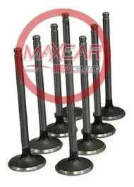Valvula Admision Genuine 1003202Ga Jac T6 (8Und) - Vag202ga 1