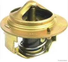 Termostato Verna 25500 11200-T11200 1