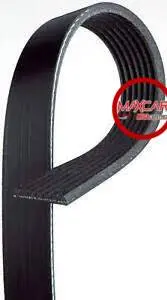 Banda Dongil 6Pk2479 - B6pk2479 1