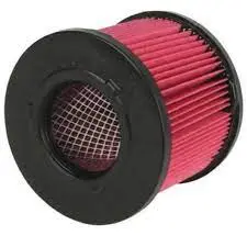 Filtro Aire Isuzu 8979416550 Dmax Diesel (1070.20) (A6127) - F107020 1