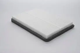 Filtro Aire Advance Aa12021 Citroen C3 Peugeot 2008 Faa12021 1