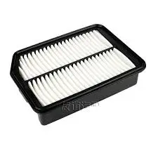 Filtro Aire Advance Aa11093 Changan Cs35 Landwind - Faa11093 1