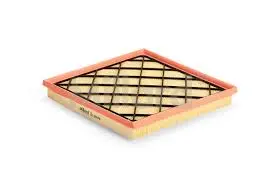 Filtro Aire Advance Aa1380 Cruze (Mk-25175)  - Faa1380 1
