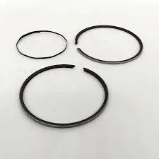Rines Npr Swd20004  0.25 Corsa 1.6/Aveo 1.5/Chevytaxi 79Mm - R2294 1