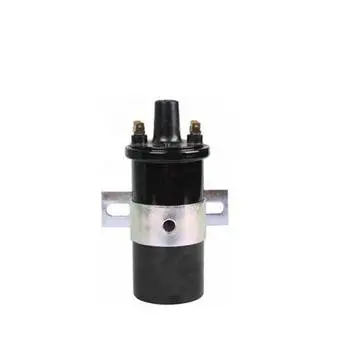 Bobina Encendido Ciz500/11036 C/Resistencia 12V Univ-Beciz500 1