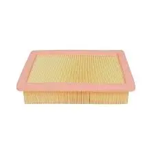 Filtro Aire Advance Aa11118 Dfsk T5 Evo 1.5T 23-  - Faa11118 1
