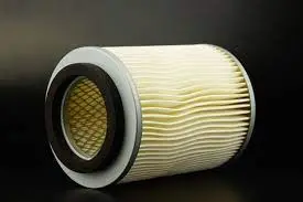 F.Aa4979 Filtro Aire Advance Super Carry Dw Damasd ( Cilindrico )(Mk79201) 1