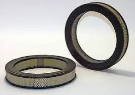 Filtro Aire Shogun Af663 Forza I 1.0 (Aa4958 Ca446) - Faf663 1