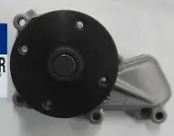 Bomba Agua Aisin 251002E020 Soul/Sportage/Cerato-Bae020 1
