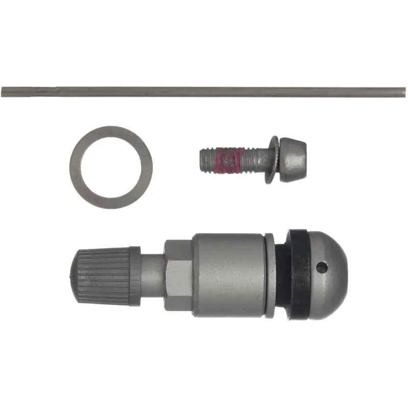 Schrader Tpms Service Pack With Silver Insert – Universal Fit For Audi, Bmw, Hyundai, Kia, Mercedes-Benz, Porsche, And Volkswagen 1