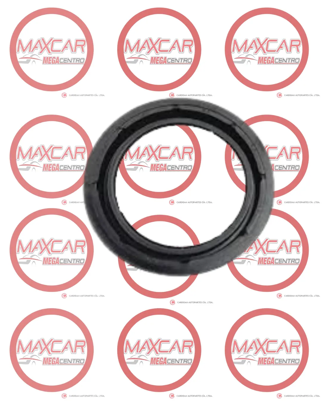 Retenedor B/Vacio Oem 24349334 Captiva 1.5 - Ro334 1
