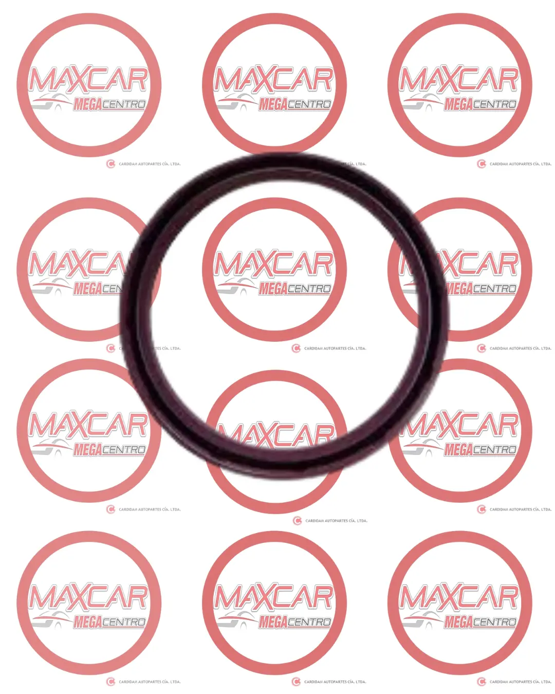 Retenedor Cigueñal Pos Gm 23858404 Captiva 1.5 (75X91) - Rcg404 1