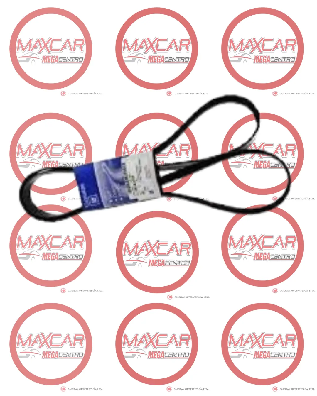 Banda Gm 6Pk1875 25183021 Aveo/Optra - Bm83021 1