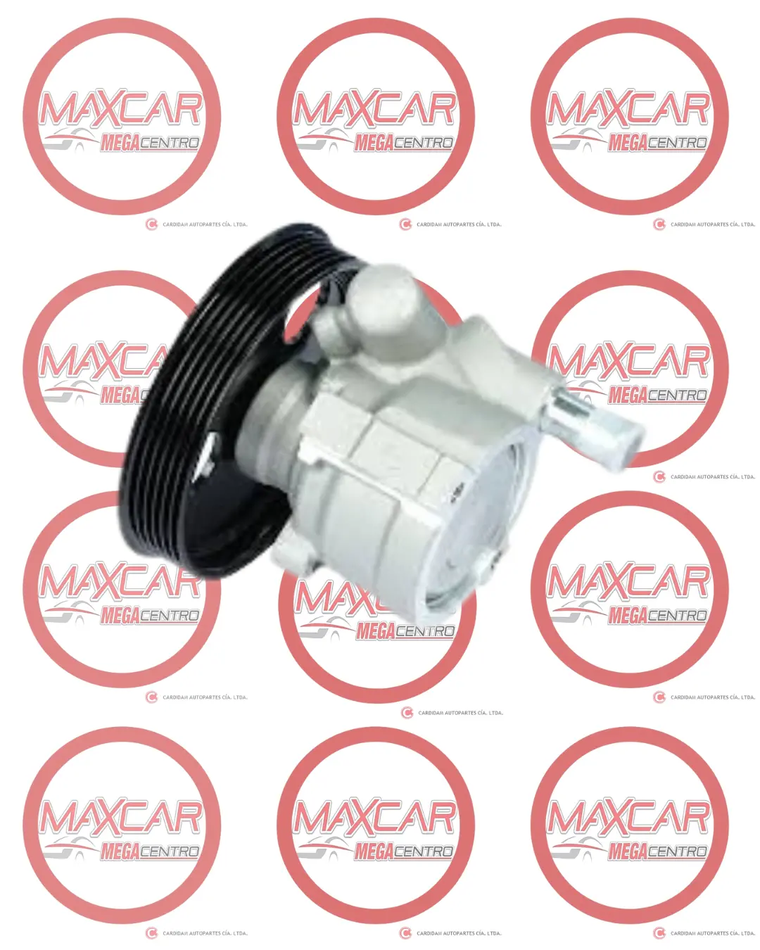 Bomba Dir Hid Mgt 7700431286 Clio Megane Duster 1.6 Logan Sandero - Bdhm286 1