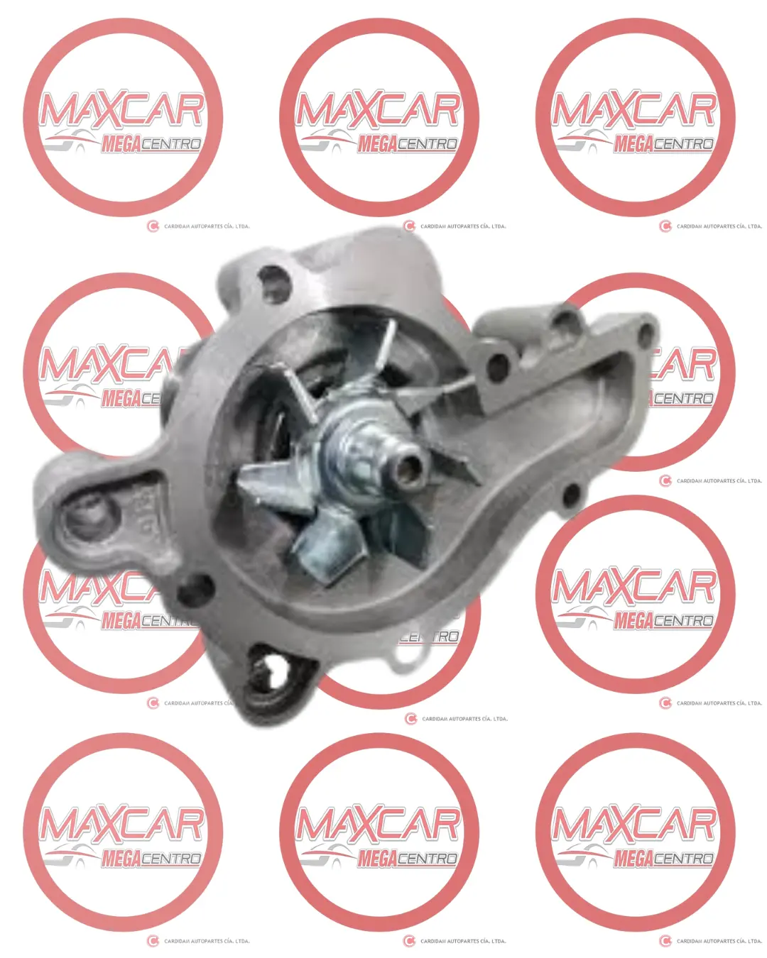 Bomba Agua Drk 1077384 Shineray X30 - Bad1077384 1