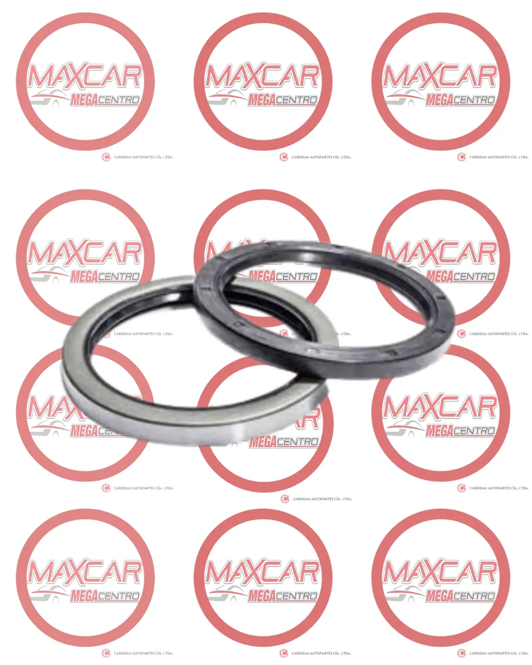 Retenedor Lyo 54X69x7.5X9.5 Rda. Del. Vitara - Rl54697 1
