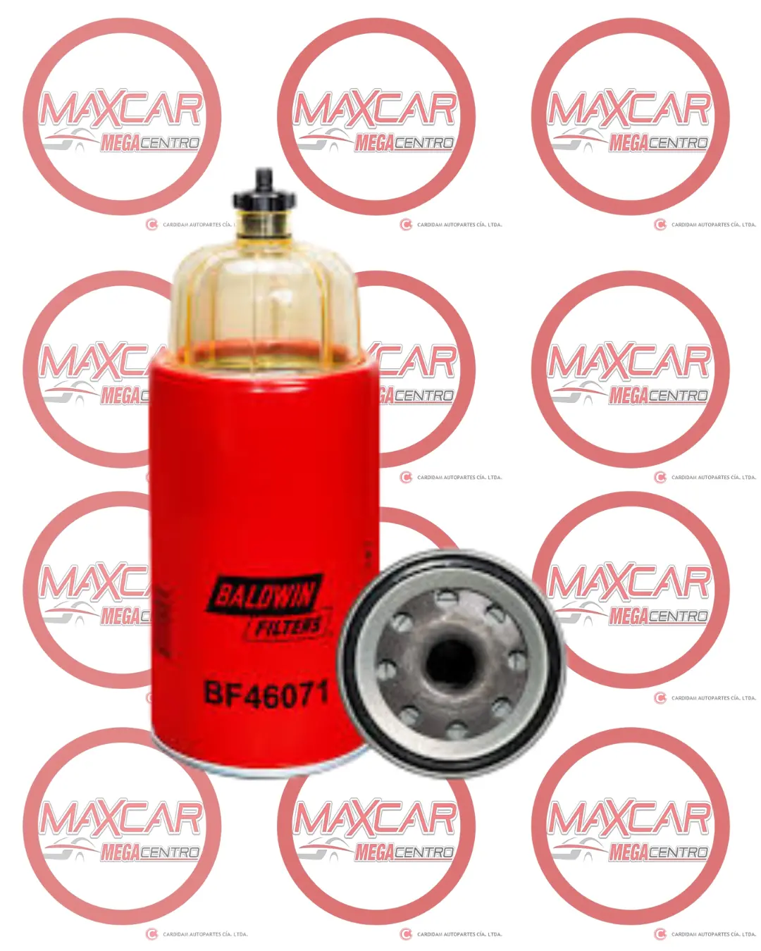 Filtro Combustible Baldwin Bf46071 Mann Hummel Wk1060 - Fbf46071 1