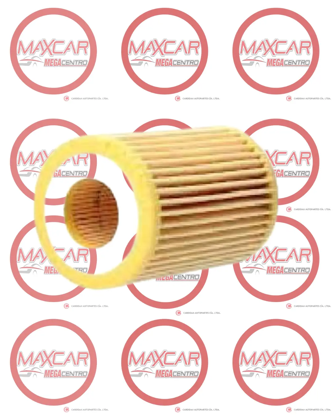 Filtro Aceite Hk J572 Gw Poer Diesel 2.0 21-22 (Aoe9974/1 Eo167sh So1315d) - Fj572 1