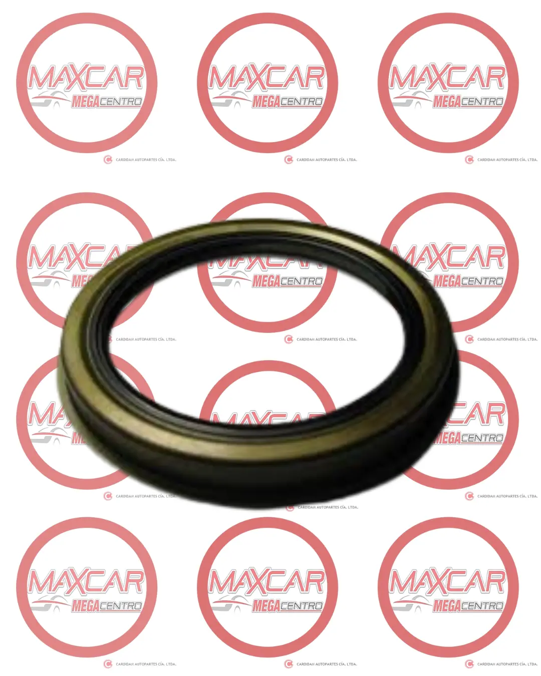 R.63108 Retenedor Rda Del Mobis 51830-4A400 Hy H1 (63X10x8) 1