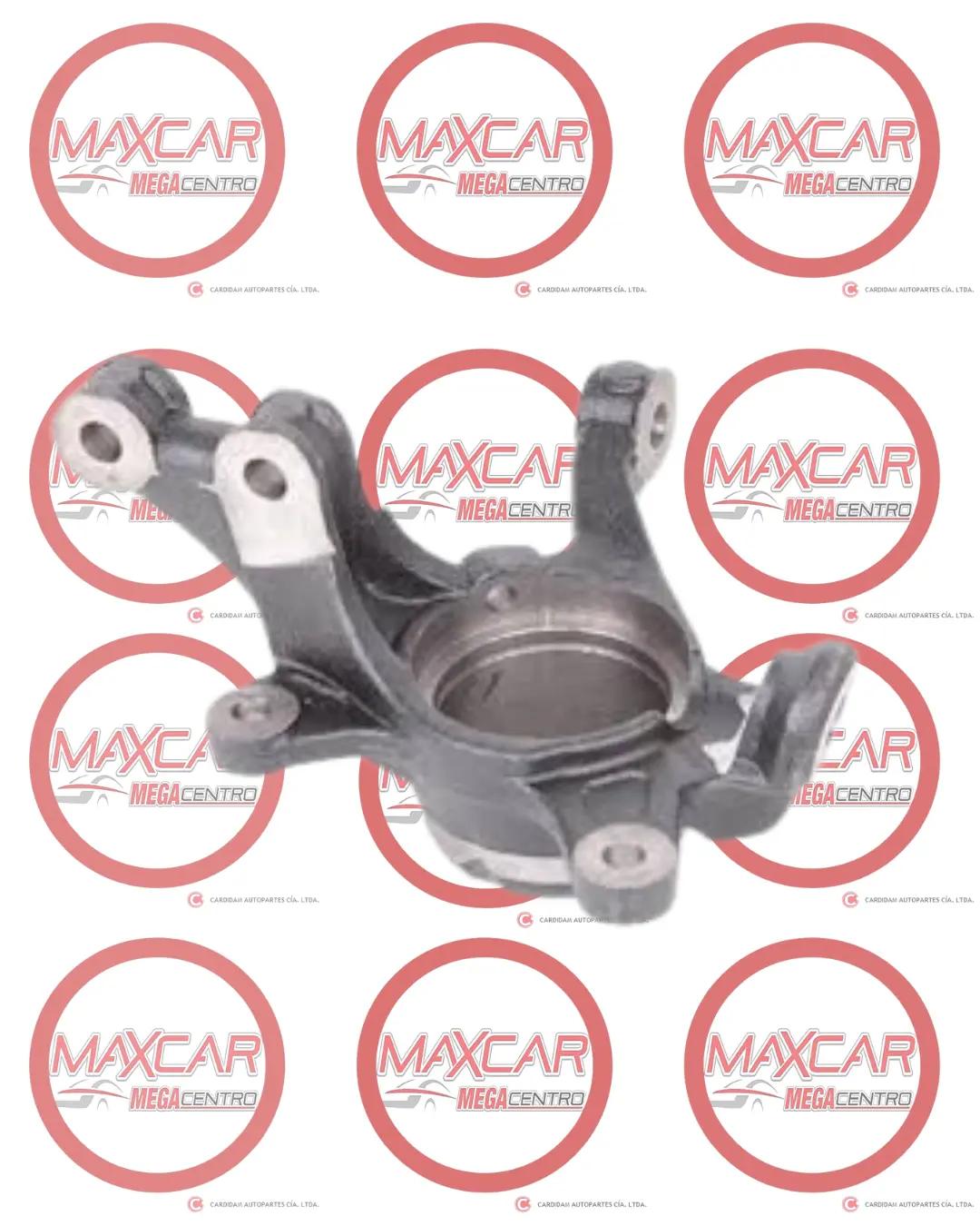 Ara.3001101-G08 Araña Allparts Gw Voleex C30 12 - Lh 1