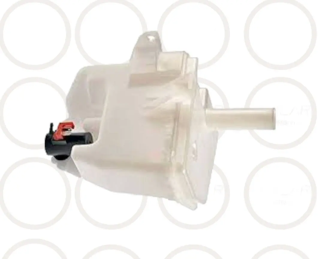 Reservorio Agua Plumas Tyg 28910-65Y00 Sentra C/Motor - Rap2002 1
