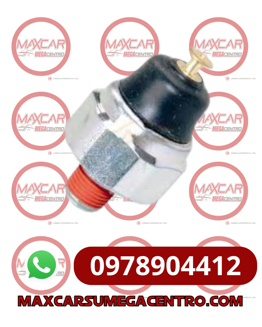 Tra.24545246 Trompo Aceite Gm Van N300 1