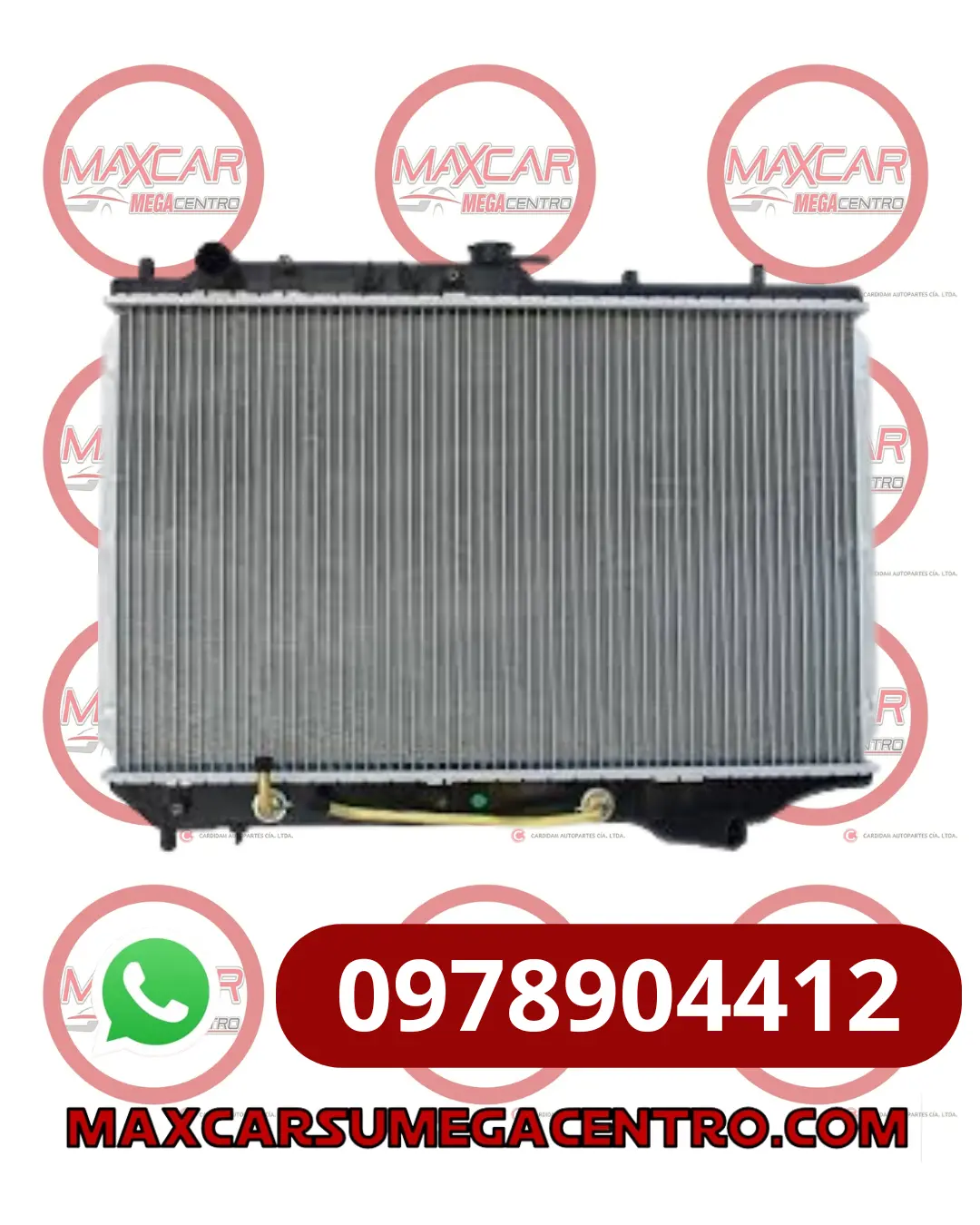 Rad.16055 Radiador Polar Mz 323 94-98 1