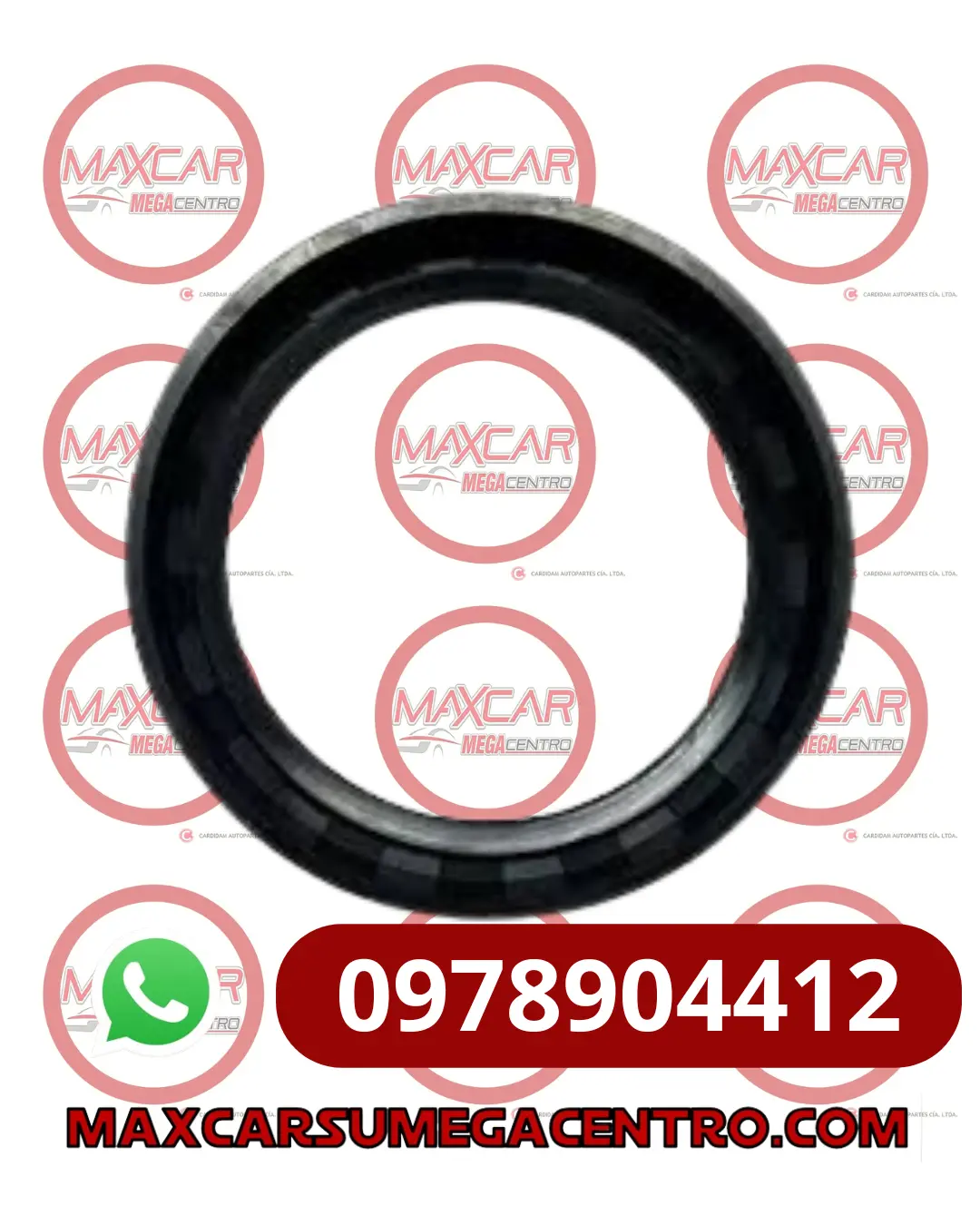 R.5066.51316.65 Retenedor Rda Del Mobis 51713-21100 Accent Excel 92-96  (50X66.5X13x16.65) 1