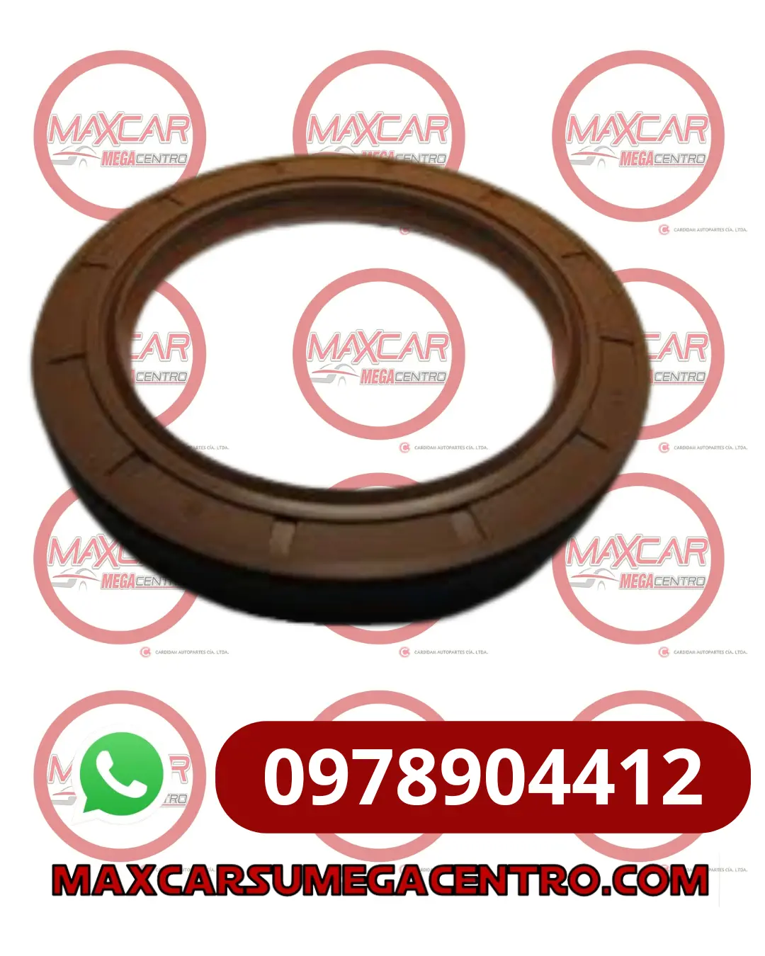 R.8410411 Retenedor Drk 84X104x11 Cig Pos Sentra 1